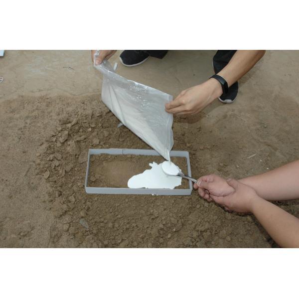 G035 BTSG-I Tridimensional footprint casting material kit