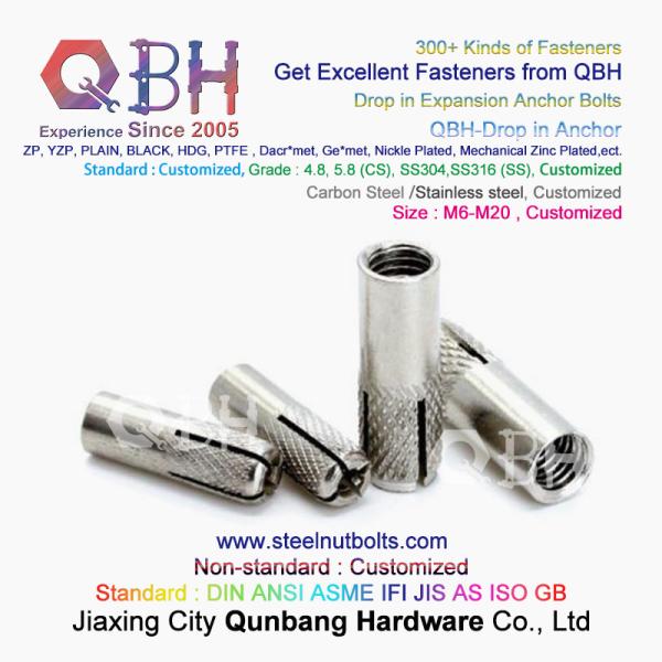 QBH GB /T 22795 (NP) - 2008 M6-M20 SS304 SS316 Stainless Steel Drop In Expansion Anchor