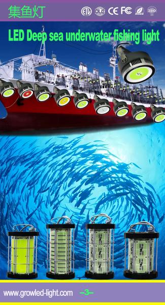 AC200-265V Submersible Fishing Lights for Deep Sea Night Fishing and Crab/Lobster Traps Durable