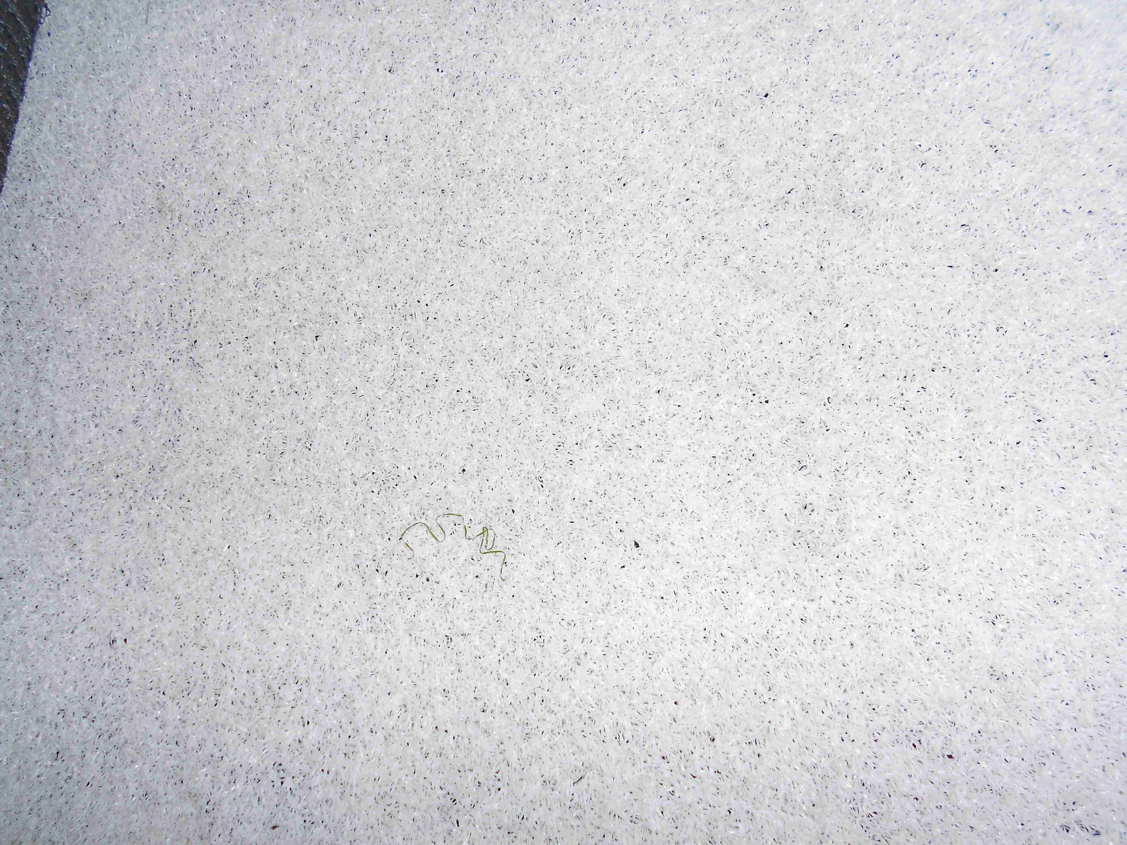 Natural White 30mm Indoor Outdoor Decoration Grass Synthetic Grass Turf For Landscape