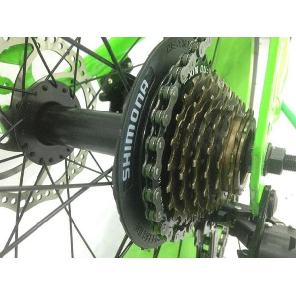 Private Label Snow Sand 4.0 Fat Tyre Electric Bicycle