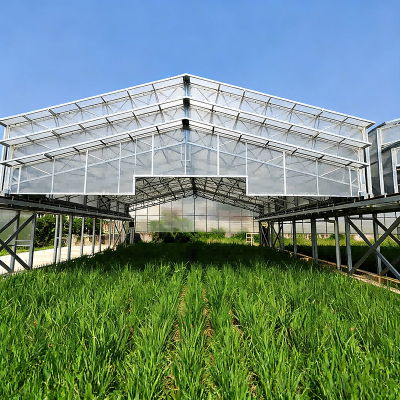 Q355B Q235B Steel Frame Prefab Agricultural Buildings Modular Easily Installable