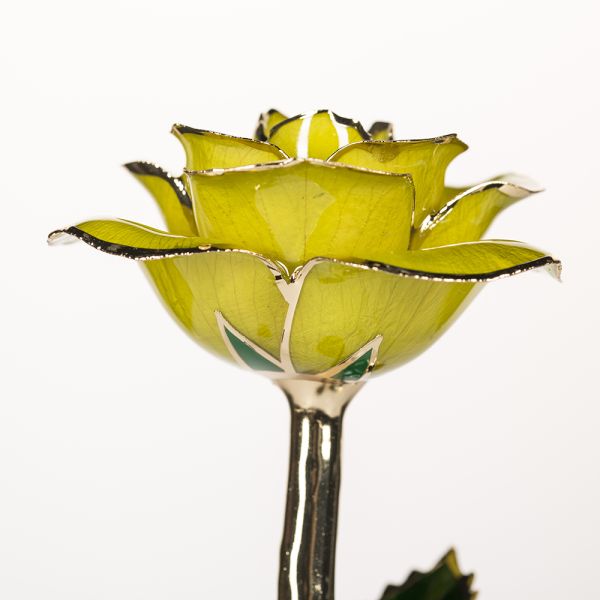 24k Gold Plated Rose  Handmade Preserved Rose Gold Rose Gift 2024 Upgraded Mother's Day Gift Factory Directly Supply