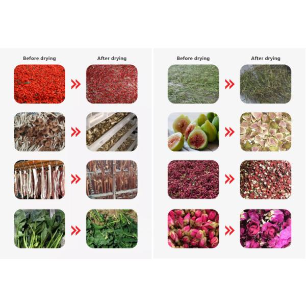 Жара 6m горячего воздуха машины промышленной печи плода ISO9001 более сухая электрическая вспомогательная 8m