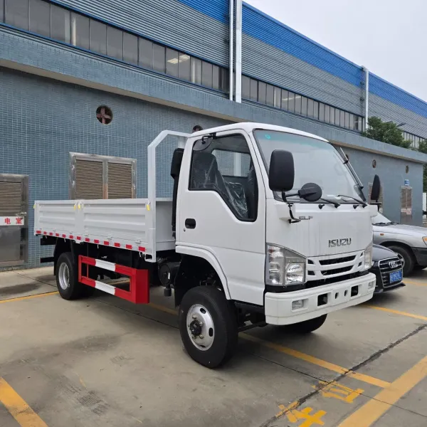 Isuzu 4X2 General Cargo Truck Small General Cargo Truck