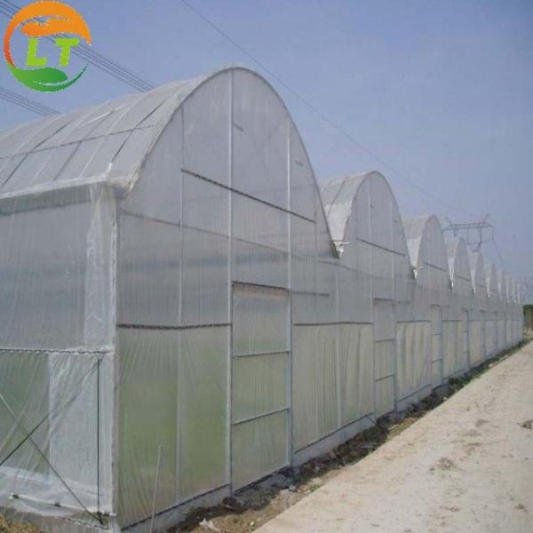 Vegetables Growing Multi-span Film Greenhouse 3m Height with Hot-dip Galvanized Pipe