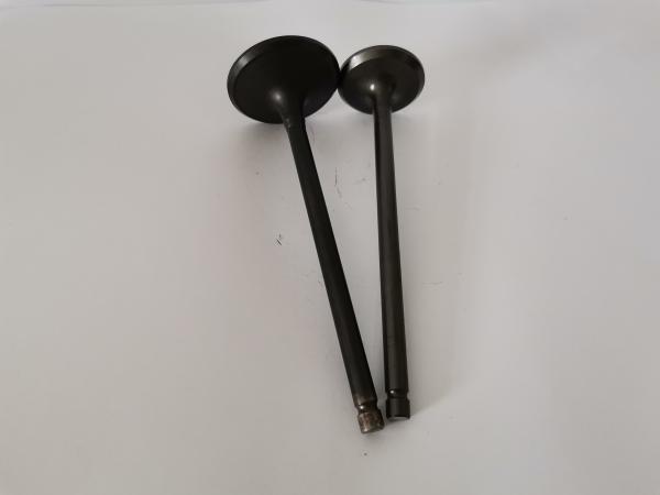 CITROEN C3 / PEUGEOT 208 Diesel Engine Valve 4211EX engine accessories
