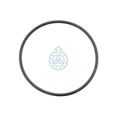  O-ring 5000821654,177431,191681,234338
