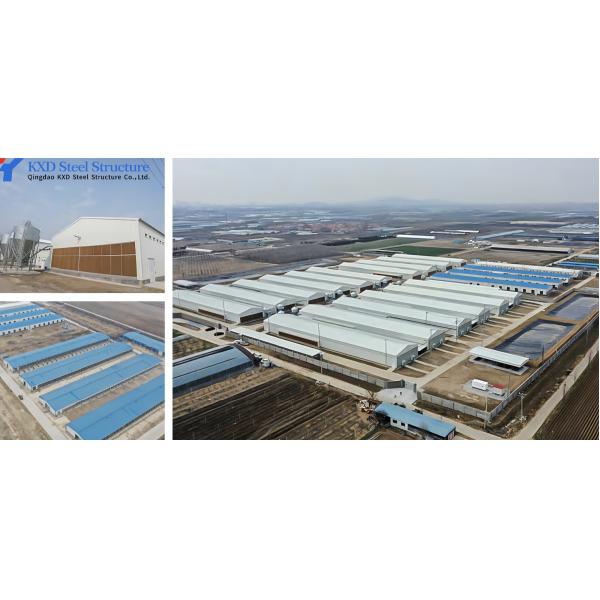 H Section Steel Poultry House Chicken Farm House Building