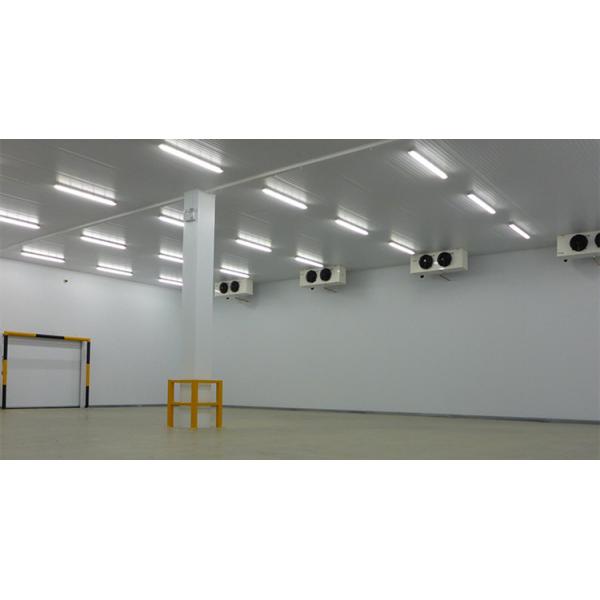 -10~-30 °C Low Temperature Freezer 100ton Seafood Fish Cold Roo