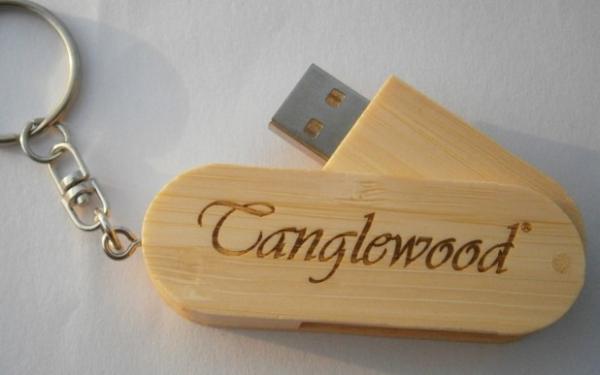 Wood  8g usb flash drives,4gb Usb Flash Disk,  wood 2gb usb flash disk