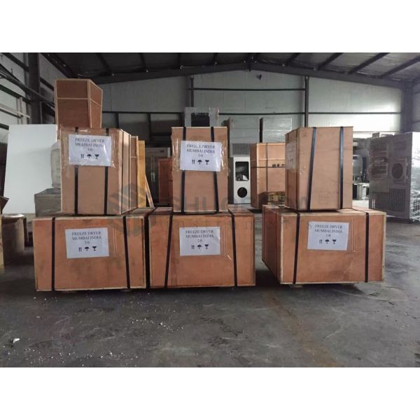 SBD-18 Series Floor Type Freeze Dryer For Laboratory