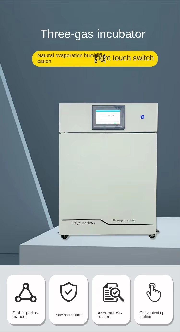 Professional 50L-200L Laboratory Tri-gas Incubator O2 Control 1-95% CO2 Control 0-20%Temp Range Rt+3~60°C for Cell Culture