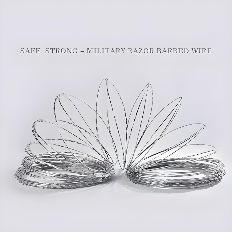CBT-65 Galvanized Razor Barbed Wire with 500mm Outer Diameter for Secure Perimeter Fencing