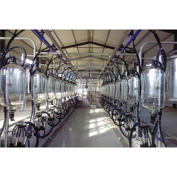 380v 7.5KW Automated Milking Parlour Herringbone Type