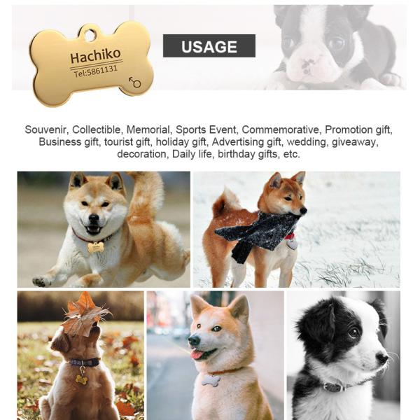 Персонализированные теги для собак и кошек