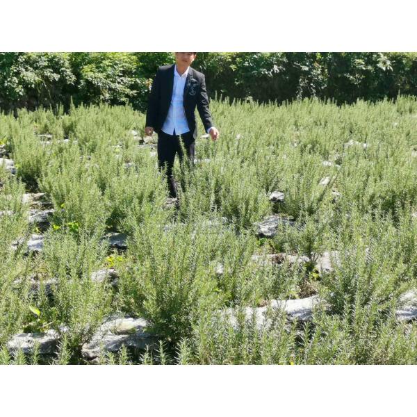 Guangzhou Jianfeng Fragrance Co., Ltd.