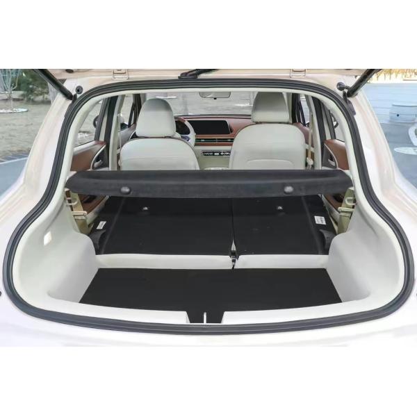 ORA Used Car 5-Seater Electric Vehicle with 150km/h Max Speed