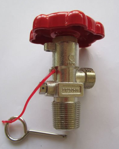Red / Blue / Black Fire Extinguisher Fittings , Brass Fire Extinguisher Accessories