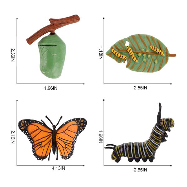 Realistic 4 PCS Butterfly Animal Life Cycle Insect Growth Model Toys Party Favors Toy for Boys Girls Kids