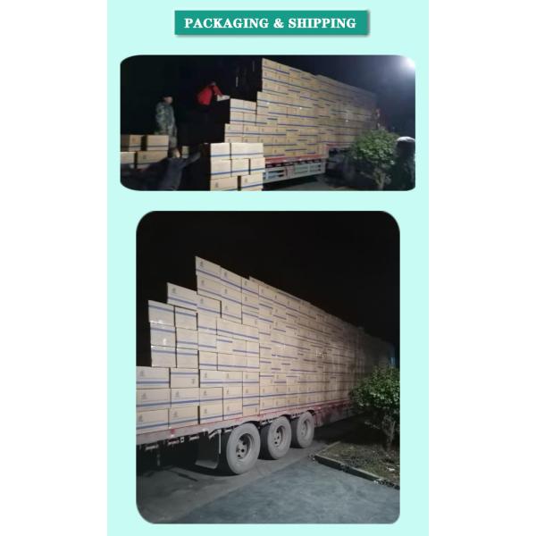 Unisex Non Woven Disposable Shoe Covers , Disposable Polypropylene Shoe Covers