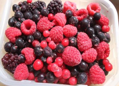 High Grade IQF Frozen Fruit , Individually Fresh Frozen Mixed Fresh Berries