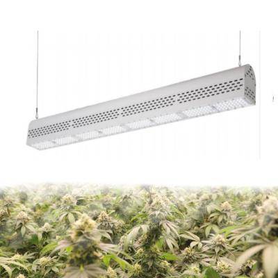 Anti Heavy Moisture Waterproof LED Grow Lights 150 MA 50/60Hz Lightweight