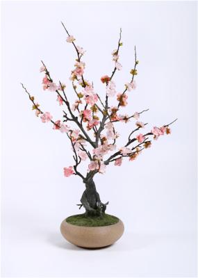 O bonsai artificial do florista planta a mistura botânica perfeita que poda precisamente
