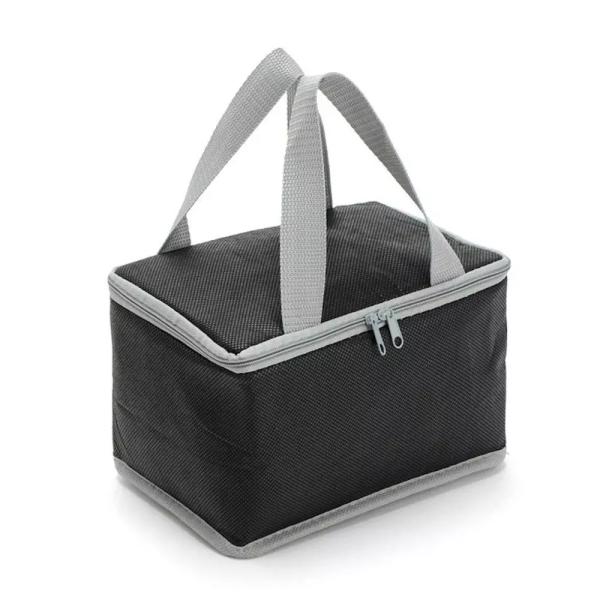 Pantone Insulated Cooler Bags Reusable With Aluminum Film