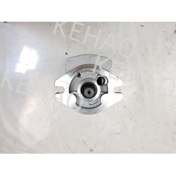 PVSD2-21 Hydraulic Gear Pump Iron and Aluminum alloy materials  Range for Construction Machinery Factory Supply Hydraulic Parts Customize