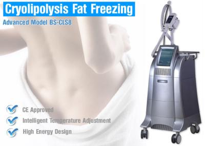 Corpo de congelação gordo de Cryolipolysis que esculpe o equipamento para a remodelação do corpo/emagrecimento