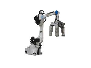 Safety Robotic Case Packer Case Packer Machine Operations