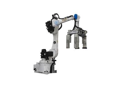 Safety Robotic Case Packer Case Packer Machine Operations