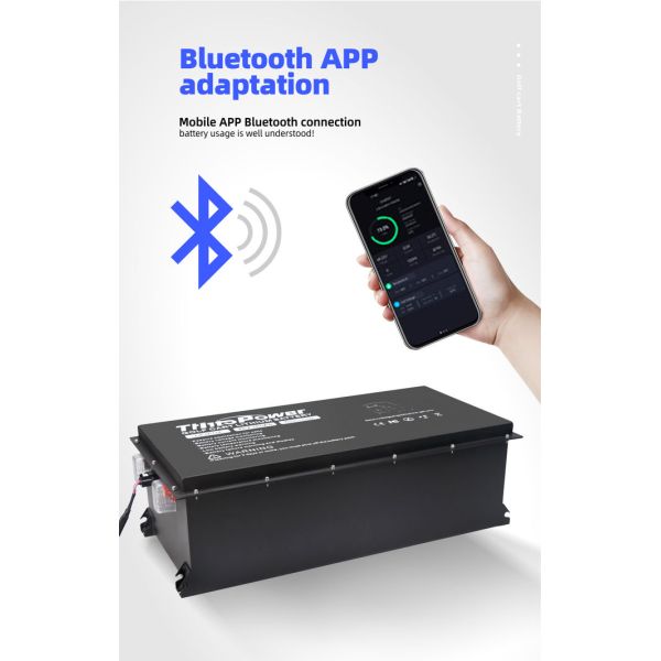 48V Electric Buggy 165Ah Lithium Ion Battery With BMS