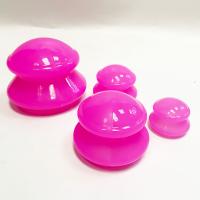 Colocar do silicone da sução da terapia do agregado familiar ajustou 1.8in 2.4in 3in 3,9 polegadas