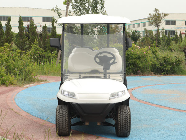 6-местные гольф-коляски на заказ с использованием свинцово-кислотной батареи