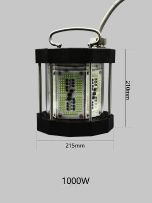 Underwater LED Fishing Light with 120 Degrees Beam Angle 1000W for Deep Sea Fishing