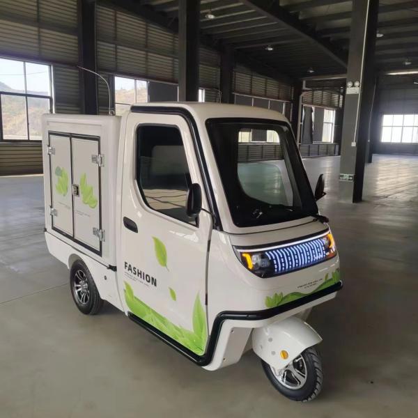 Electric Mini Car Cargo Bike Trike Motorcycle with EEC Certification and High Voltage