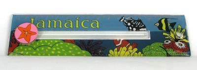 Pre-school Plastic ruler with picture