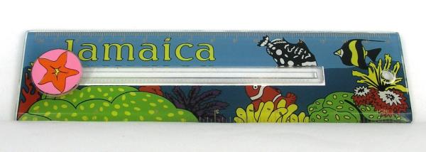 Pre-school Plastic ruler with picture