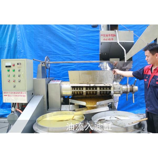 машина масла прессы машины прессы масла винта напряжения тока 380в автоматическая холодная