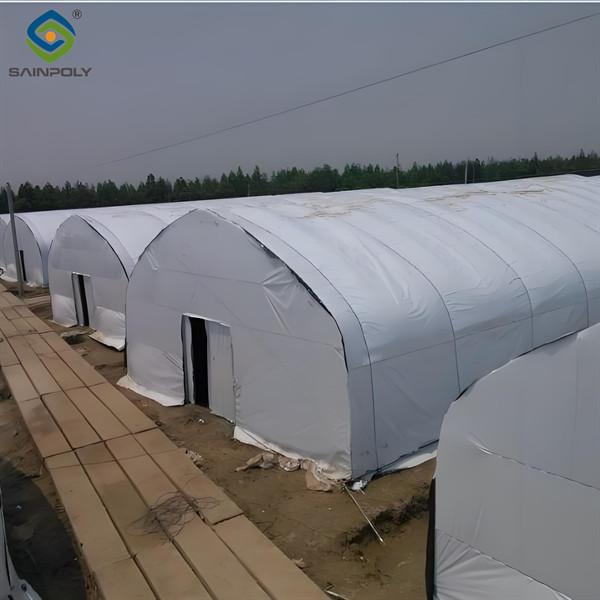 Cultivation de champignons en polycarbonate dans des serres