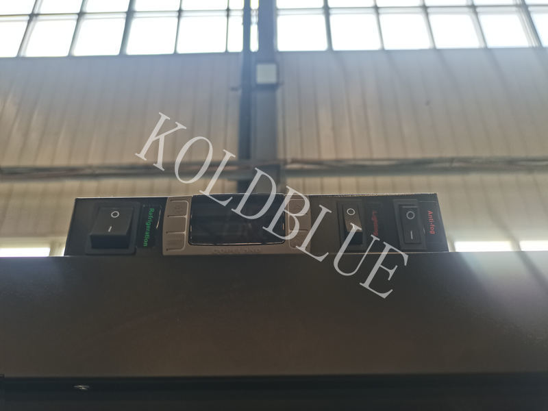 Commercial Display Cooler with Led Lights and 2200mm Tall Cabinet GAEAECO290L