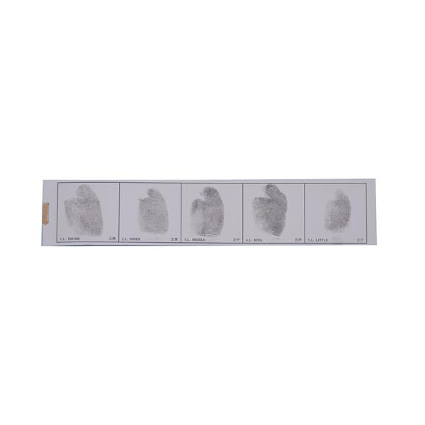E039 Left hand fingerprint record strip