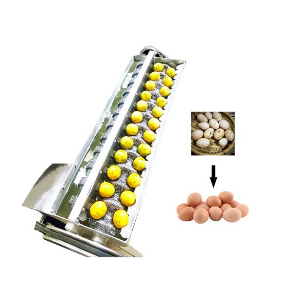 Commercial farm use egg washing and weight sorted machine price, chicken egg water brush cleaned and drying sorting machine