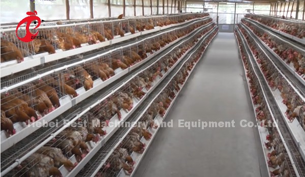 China Imported Coated Chicken Battery Cage ISO9001 , Layer Chicken Cage System 4 Door Sandy