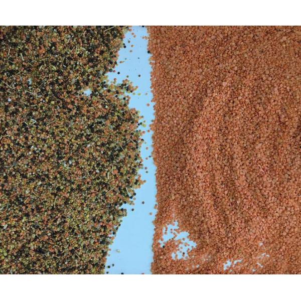 Wenyao Automatic Lentil Color Sorter Intelligent Beans Color Sorting Equipment