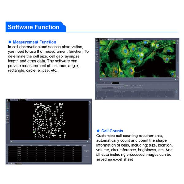 OPTO EDU A14.1096 Laboratory 22mm Inverted Fluorescence Microscope