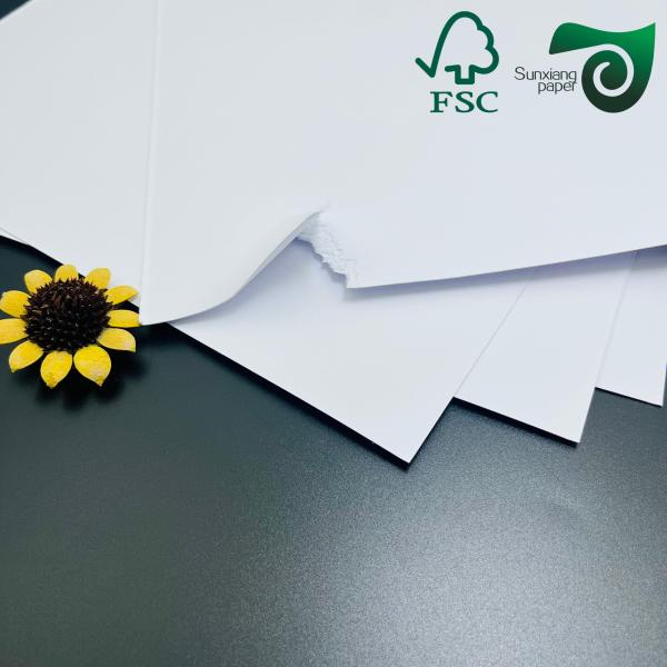 120g 144g Carton non recouvert dégradable résistant aux déchirures pour les contenants alimentaires