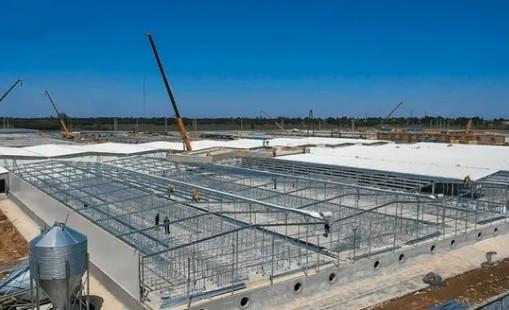 Prefabricated Modular Building for Modern Farms and Equestrian Facilities Durable and Steel Structures for Agriculture and Livestock